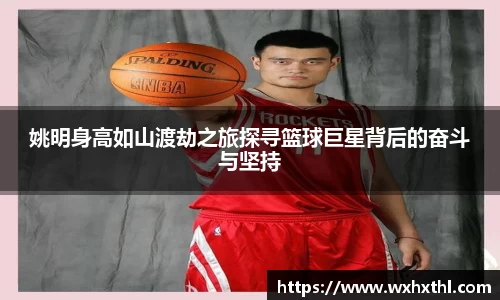 姚明身高如山渡劫之旅探寻篮球巨星背后的奋斗与坚持